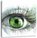 Grünes Auge Leinwandbild Quadratisch