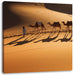 Kamelkarawane in der Wüste Leinwandbild Quadratisch