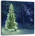 Leuchtender Weihnachtsbaum Leinwandbild Quadratisch