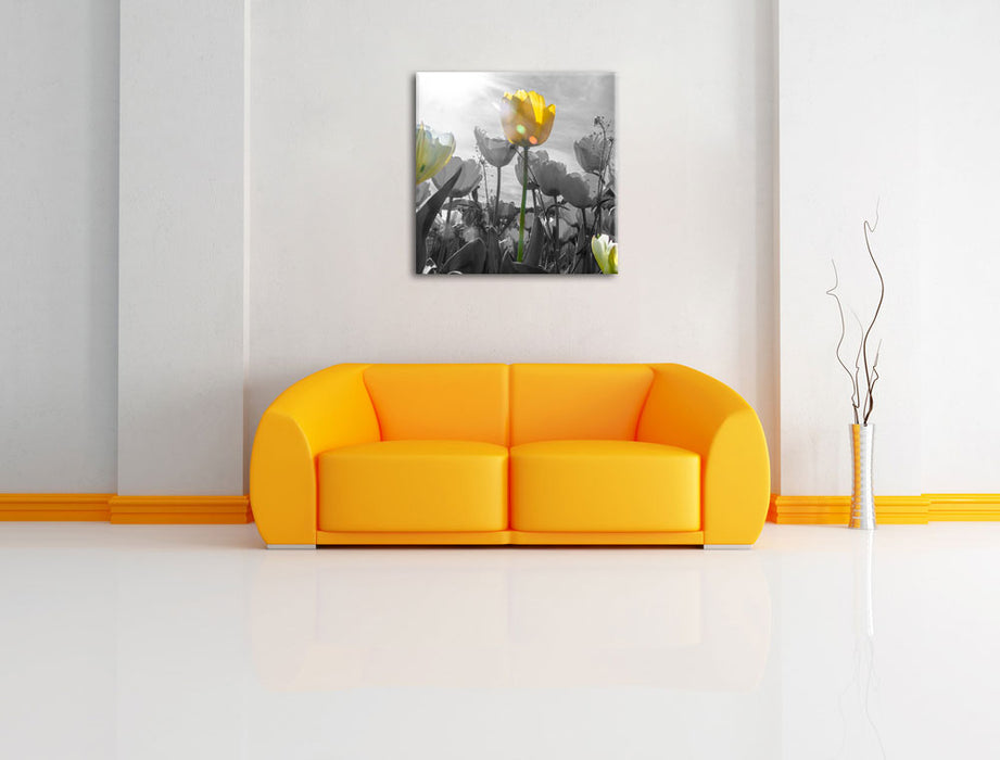 wunderschöne Tulpenwiese Leinwandbild Quadratisch über Sofa