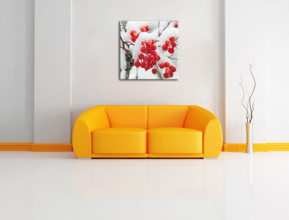 Gefrorene Äste Leinwandbild Quadratisch über Sofa