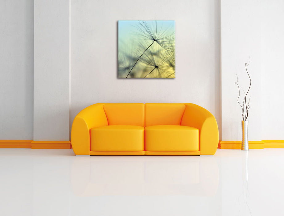 Pusteblumen mit Tautropfen Leinwandbild Quadratisch über Sofa