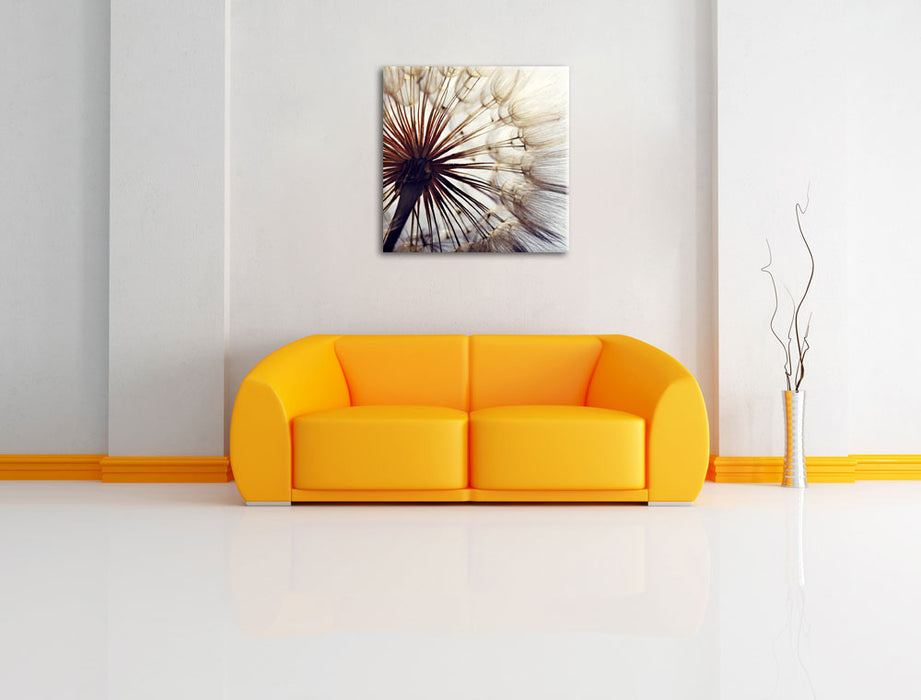 Schöne Pusteblume 1 Leinwandbild Quadratisch über Sofa