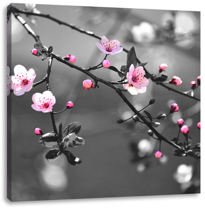 Exotische Sakura Blüten Leinwandbild Quadratisch