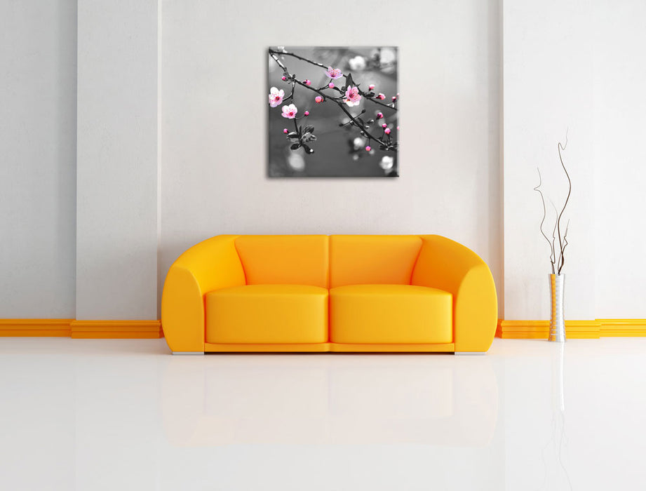 Exotische Sakura Blüten Leinwandbild Quadratisch über Sofa