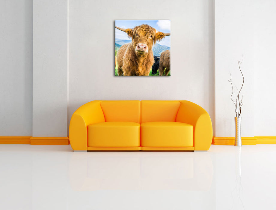 Blick einer Kuh an der Weide Leinwandbild Quadratisch über Sofa