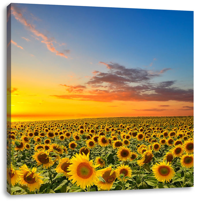 Sonnenuntergang Sonnenblumen Leinwandbild Quadratisch