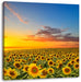 Sonnenuntergang Sonnenblumen Leinwandbild Quadratisch