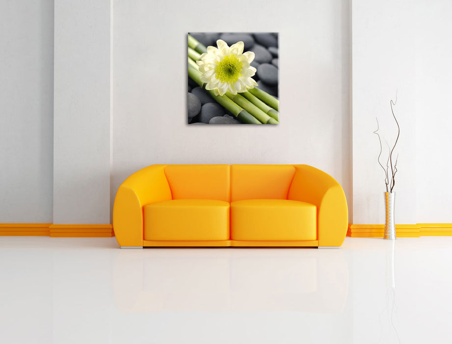 Kleine Blüte auf Bambus Leinwandbild Quadratisch über Sofa