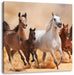 Western Pferde mit Fohlen Leinwandbild Quadratisch