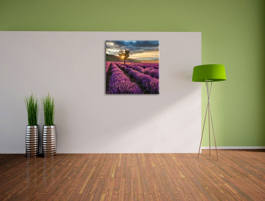 Lavendel Provence mit Baum  Leinwand Quadratisch im Flur