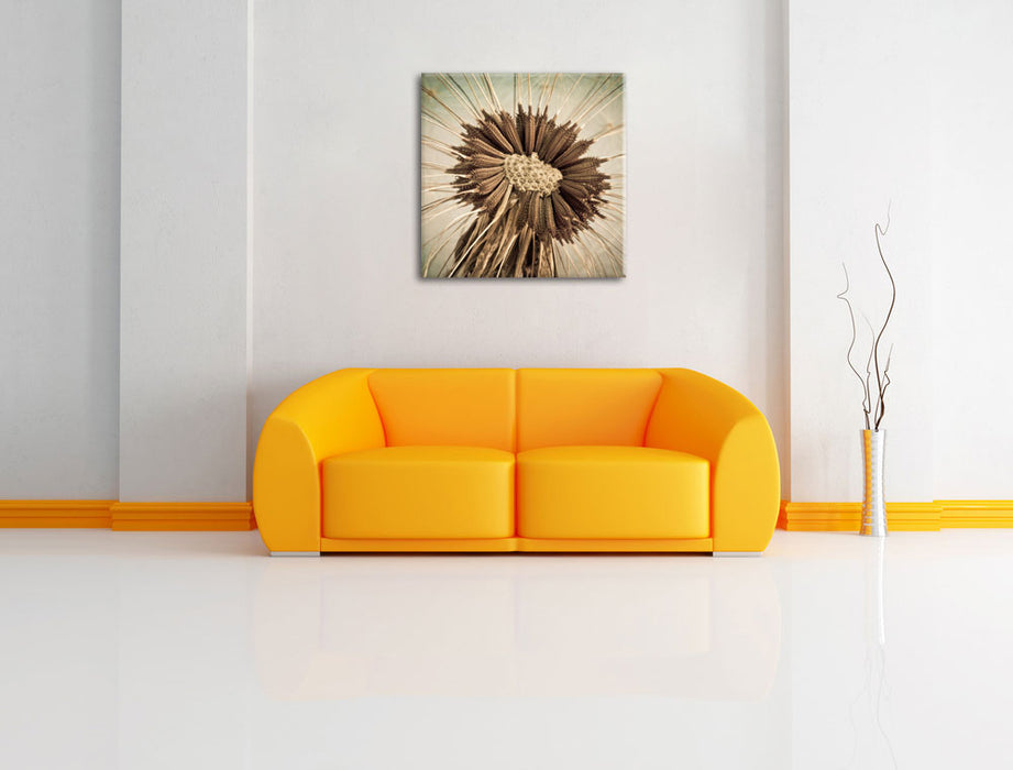 Vertrocknete Pusteblume Leinwandbild Quadratisch über Sofa