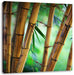 Alter Bambus Wald Leinwandbild Quadratisch