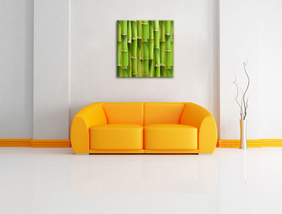 Grüner frischer Bambus Leinwandbild Quadratisch über Sofa