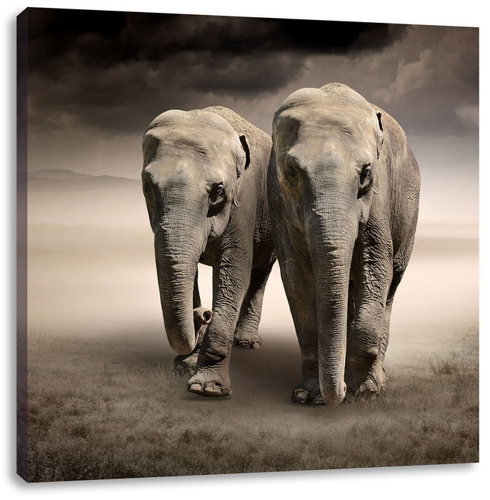 Zwei Elefanten in Steppe Leinwandbild Quadratisch