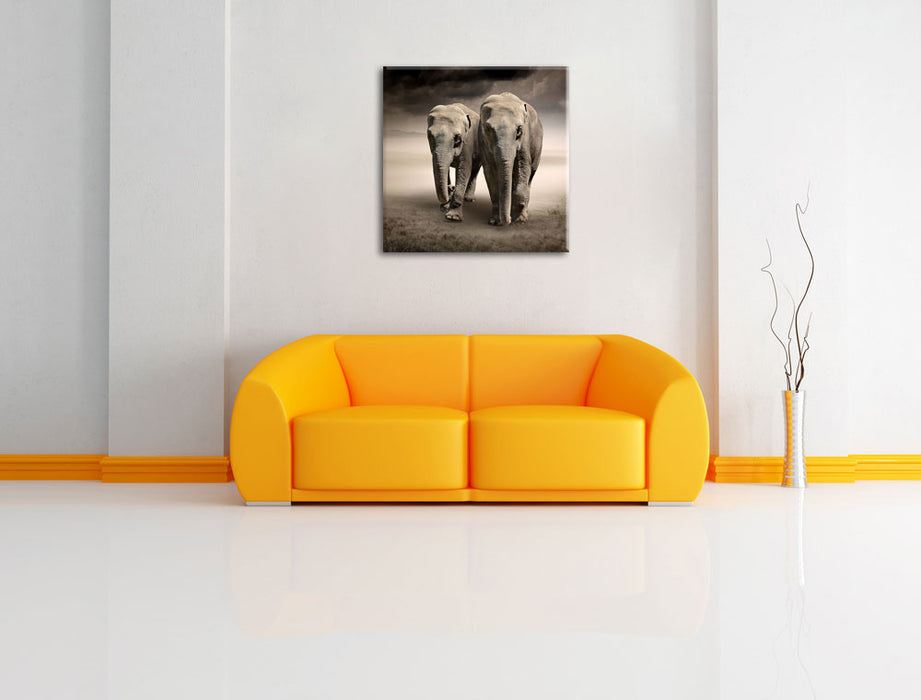 Zwei Elefanten in Steppe Leinwandbild Quadratisch über Sofa