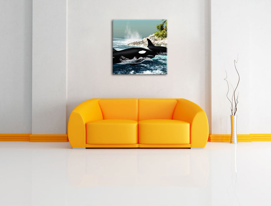 Orcas vor Insel Leinwandbild Quadratisch über Sofa
