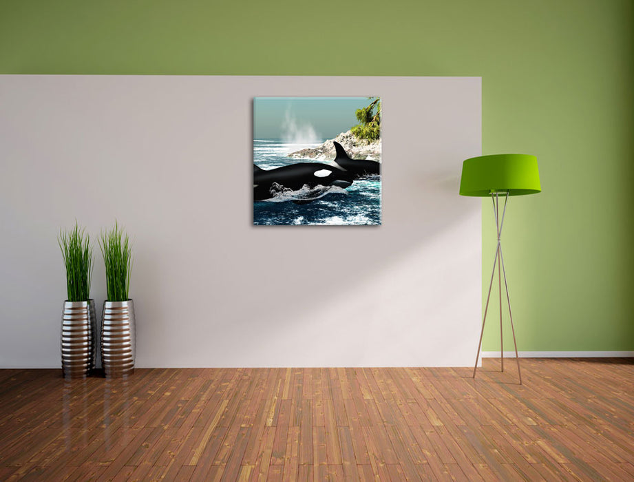 Orcas vor Insel Leinwand Quadratisch im Flur