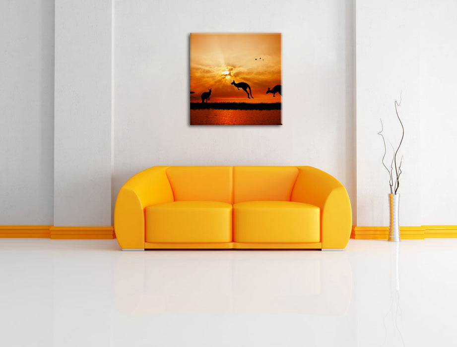 Kängurus im Sonnenlicht Leinwandbild Quadratisch über Sofa