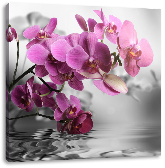 Orchideenblüten über Wasser Leinwandbild Quadratisch