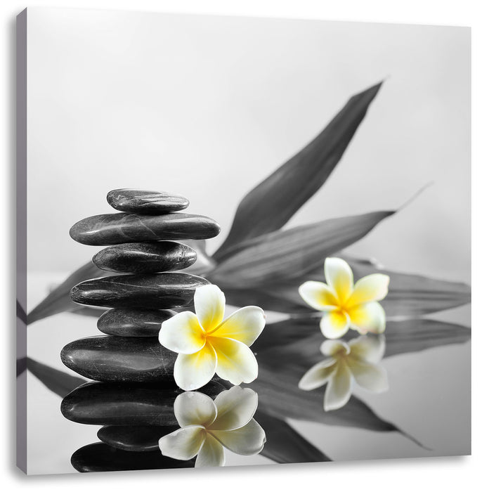 Monoi Blüten Zen Steinturm Leinwandbild Quadratisch