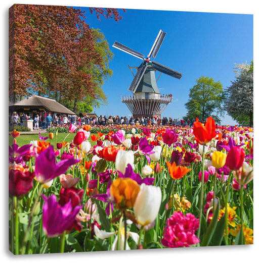 Holländisches Tulpenmeer vor Windmühle Leinwanbild Quadratisch