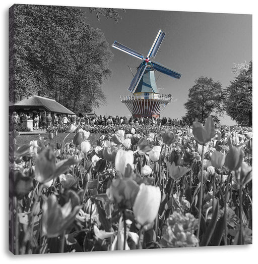 Holländisches Tulpenmeer vor Windmühle B&W Detail Leinwanbild Quadratisch