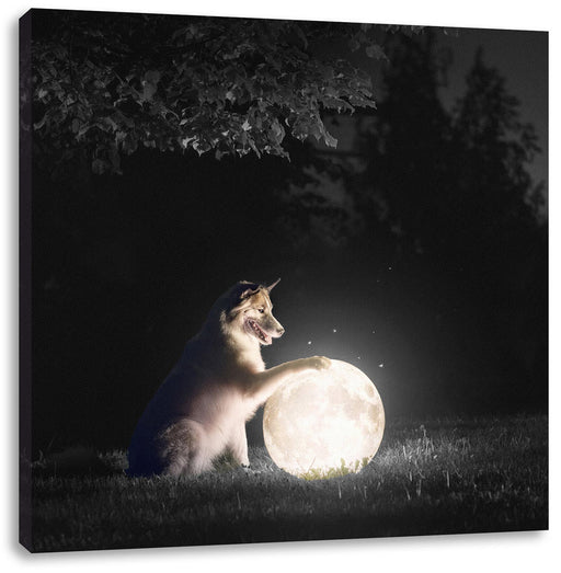 Hund mit leuchtendem Mond bei Nacht B&W Detail Leinwanbild Quadratisch
