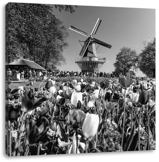 Holländisches Tulpenmeer vor Windmühle, Monochrome Leinwanbild Quadratisch