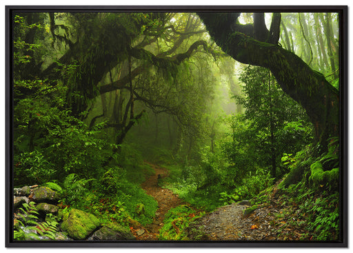 Mystischer Regenwald auf Leinwandbild gerahmt Größe 100x70