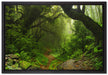Mystischer Regenwald auf Leinwandbild gerahmt Größe 60x40