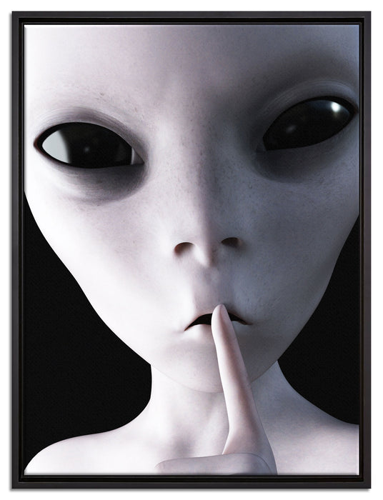 Alien - nicht reden auf Leinwandbild gerahmt Größe 80x60