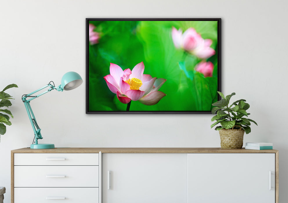 Wunderschöne Lotusblüten auf Leinwandbild gerahmt verschiedene Größen im Wohnzimmer