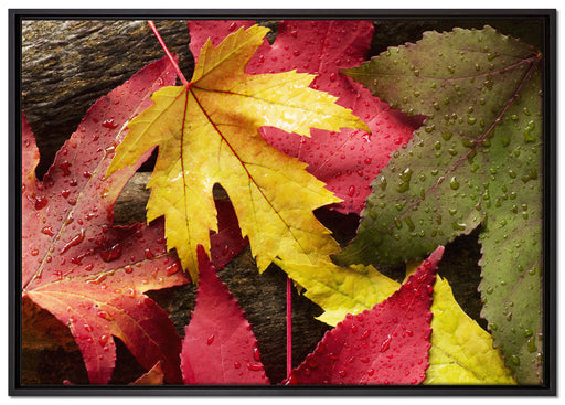 Bunte Herbstblätter auf Leinwandbild gerahmt Größe 100x70