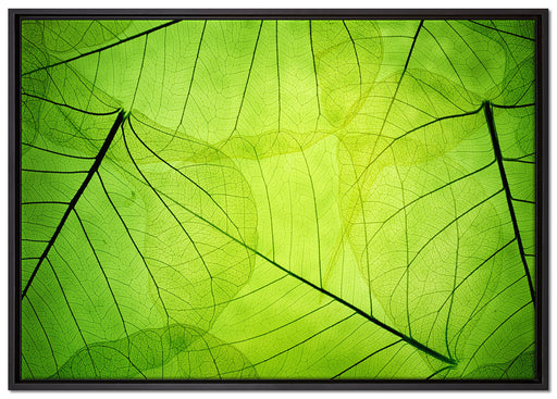 Wunderschöne Zarte grüne Blätter auf Leinwandbild gerahmt Größe 100x70