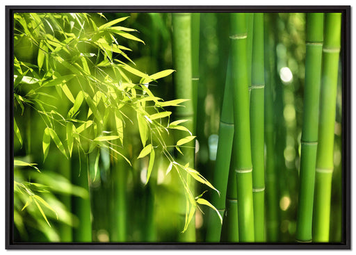 Bambus mit Blättern auf Leinwandbild gerahmt Größe 100x70