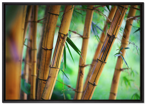 Alter Bambus Wald auf Leinwandbild gerahmt Größe 100x70
