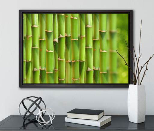 Grüner frischer Bambus auf Leinwandbild gerahmt mit Kirschblüten