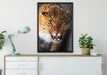 Fauchender Leopard auf Leinwandbild gerahmt verschiedene Größen im Wohnzimmer