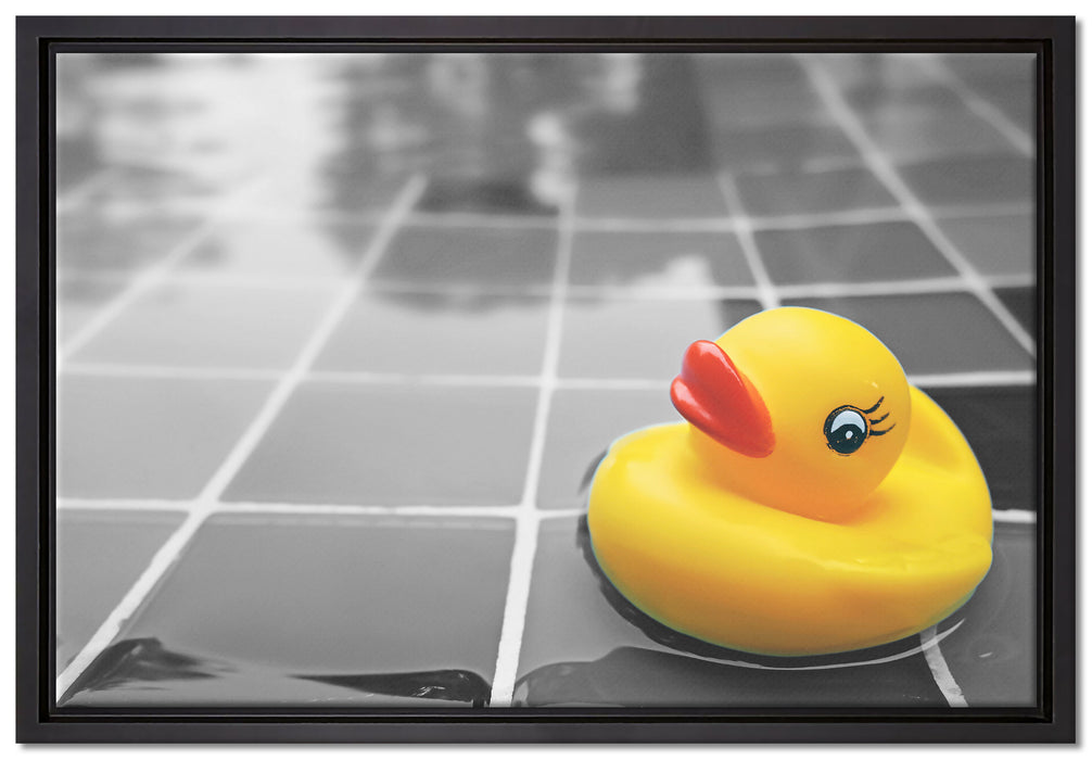 Quietsche Ente im Wasser auf Leinwandbild gerahmt Größe 60x40