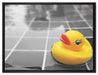 Quietsche Ente im Wasser auf Leinwandbild gerahmt Größe 80x60