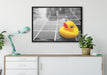 Quietsche Ente im Wasser auf Leinwandbild gerahmt verschiedene Größen im Wohnzimmer