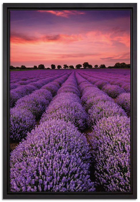 Wunderschöne Lavendel Provence auf Leinwandbild gerahmt Größe 60x40