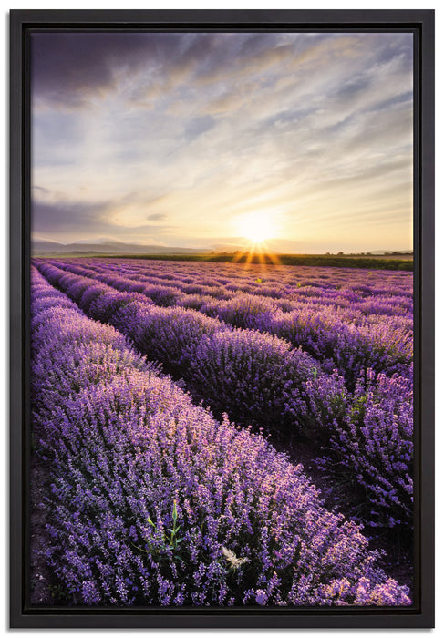 Traumhafte Lavendel Provence auf Leinwandbild gerahmt Größe 60x40
