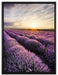 Traumhafte Lavendel Provence auf Leinwandbild gerahmt Größe 80x60