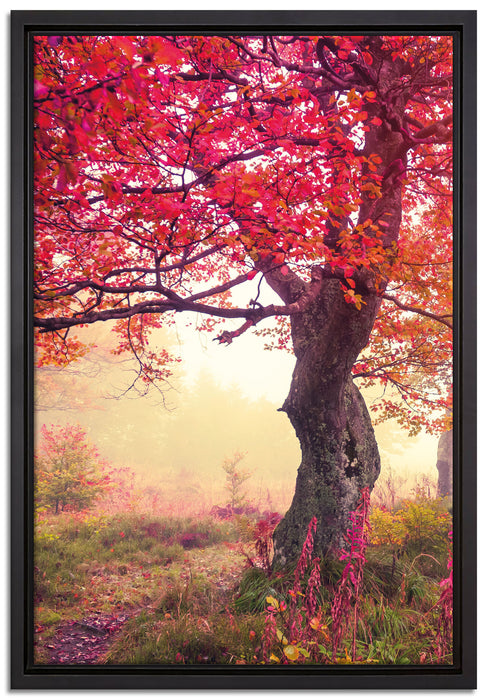 Traumhafte Herbstlandschaft auf Leinwandbild gerahmt Größe 60x40
