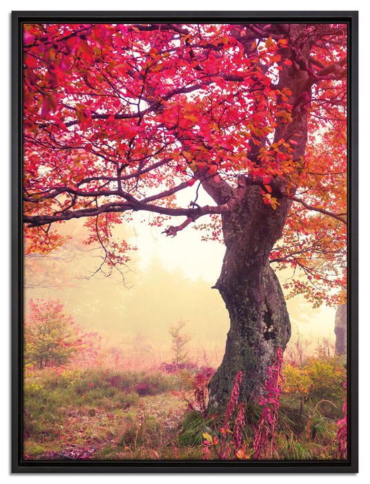 Traumhafte Herbstlandschaft auf Leinwandbild gerahmt Größe 80x60