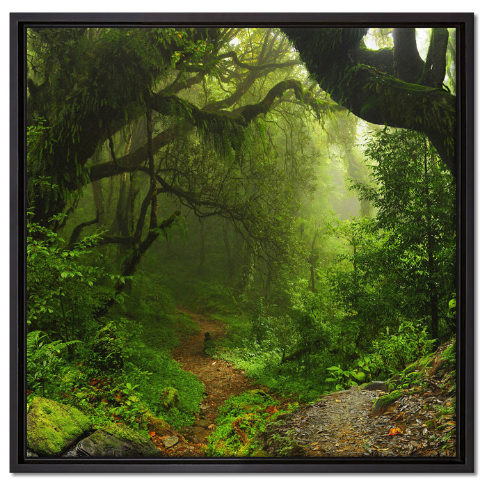 Mystischer Regenwald auf Leinwandbild Quadratisch gerahmt Größe 60x60