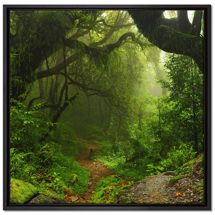 Mystischer Regenwald auf Leinwandbild Quadratisch gerahmt Größe 70x70