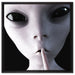 Alien - nicht reden auf Leinwandbild Quadratisch gerahmt Größe 60x60